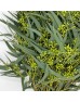 Leafy Mini Fruit (Imported) - (Per Bundle)