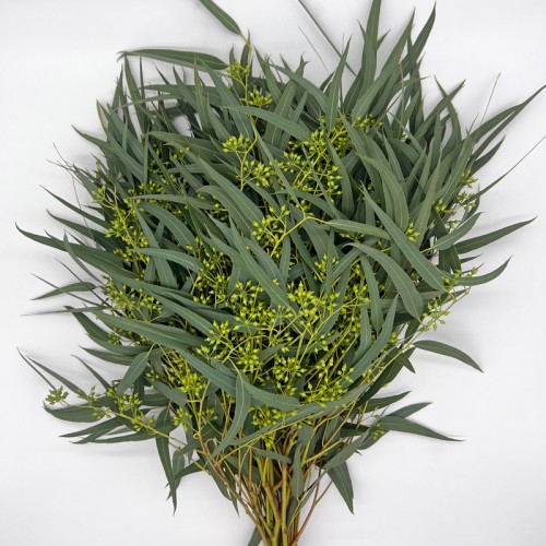 Leafy Mini Fruit (Imported) - (Per Bundle)