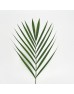 Palm Leaf (Local) - (10 Stems) Palm Leaf (Local) - (10 Stems)