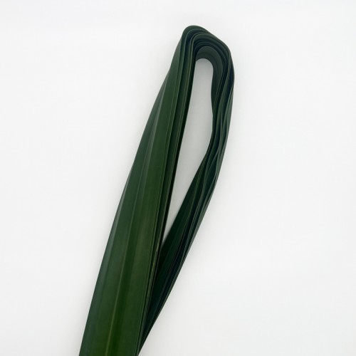 Pandan Leaf (Local) - Pandanus Green (10 Stems)