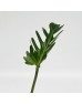 Ph Xanadu (Local) - (10 Stems) Ph Xanadu (Local) - (10 Stems)