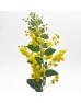 Acacia Farnesiana (Imported) - Yellow (Per Bundle)