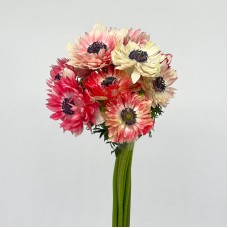 Anemone Hupehensis (Imported) - (Per Bundle)