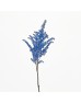 Astilbe (Imported) - Blue (5 Stems) Astilbe (Imported) - Blue (5 Stems)