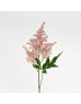 Astilbe (Imported) - Light Pink (5 Stems) Astilbe (Imported) - Light Pink (5 Stems)