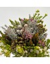 Bouquet Cape Mix - (Per Bunch) 
