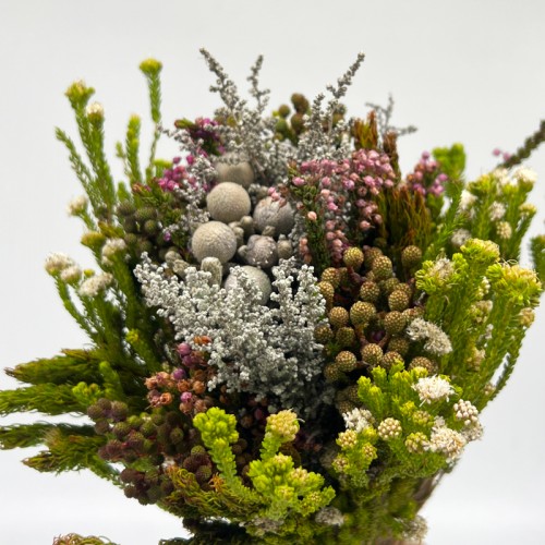 Bouquet Cape Mix - (Per Bunch) 