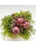 Bouquet Hybrid Carousel - (Per Bunch) 