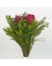 Bouquet Hybrid With Protea - (Per Bunch) 