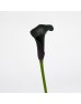 Calla Lily (Imported) - Black (5 Stems) Calla Lily (Imported) - Black (5 Stems)