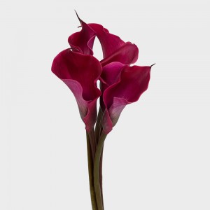 Calla Lily (Imported) - Red (5 Stems) Calla Lily (Imported) - Red (5 Stems)