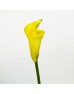 Calla Lily (Imported) - Yellow (5 Stems) Calla Lily (Imported) - Yellow (5 Stems)