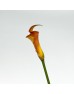 Calla Lily (Imported) - Orange (5 Stems) Calla Lily (Imported) - Orange (5 Stems)