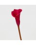 Calla Lily (Imported) - Red (5 Stems) Calla Lily (Imported) - Red (5 Stems)
