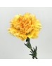 Carnations (Imported) - Champagne 香槟 (10/20 Stems) Carnations (Imported) - Champagne 香槟 (10/20 Stems)