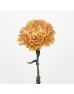 Carnations (Imported) - Reg Malone 雷格马龙 (10/20 Stems) Carnations (Imported) - Reg Malone 雷格马龙 (10/20 Stems)
