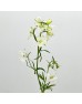 Delphinium Mini (Imported) - White (Per Bundle)