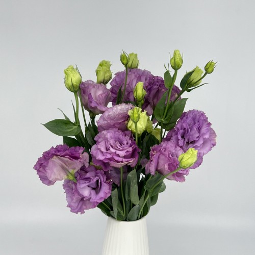 Eustoma (Imported) - Wave Light Purple (Per Bundle) Eustoma (Imported) - Wave Light Purple (Per Bundle)