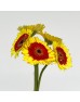 Gerbera (Local) - 2 Tone Red Yellow (8-10 Stems)