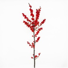 Ilex Spray (Imported) - 70/100cm (Per Stalk)