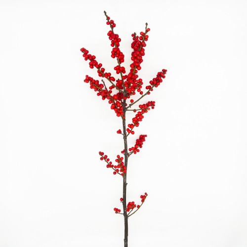 Ilex Spray (Imported) - 60/90cm (Per Stalk)