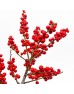 Ilex Spray (Imported) - 60/90cm (Per Stalk)