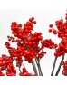 Ilex (Imported) - Red (5 Stems) Ilex (Imported) - Red (5 Stems)