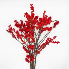Ilex (Imported) - Red (5 Stems) Ilex (Imported) - Red (5 Stems)