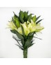 Lily (Imported) - Concador (5 Stems)