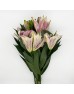Lily (Imported) - Hongfu (5 Stems)