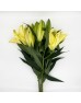 Lily 3+ (Imported) - Serrano Yellow (5 Stems)