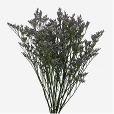 Limonioum (Imported) - (Per Bundle) Limonioum (Imported) - (Per Bundle)