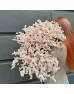 Limonium Sinense (Imported) - Pink (2 Stem)