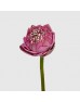 Lotus Flower (Imported) - (10 Stems) Lotus Flower (Imported) - (10 Stems)