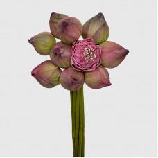 Lotus Flower (Imported) - (10 Stems) Lotus Flower (Imported) - (10 Stems)