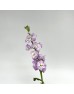 Matthiola (Imported) - Light Purple (10 Stems) Matthiola (Imported) - Light Purple (10 Stems)