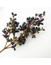 Mi Zhen Fruit (Imported) - Black (Per Bundle)