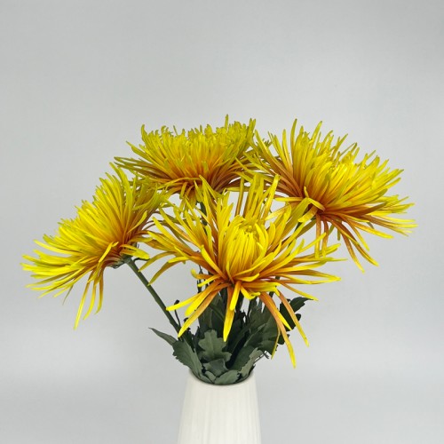 Anastasia / Net Mum (Local) - 2 Tone Brown (12 Stems) Anastasia / Net Mum (Local) - 2 Tone Brown (12 Stems)