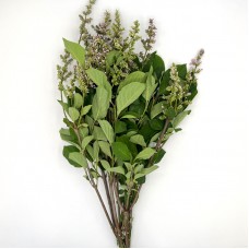 New Lilac (Imported) - Purple (Per Bundle)