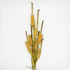 Ornamental Corn (Imported) - Yellow (Per Bundle) Ornamental Corn (Imported) - Yellow (Per Bundle)