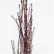 Peach Blossom (Imported) - (Per Bundle) Peach Blossom (Imported) - (Per Bundle)