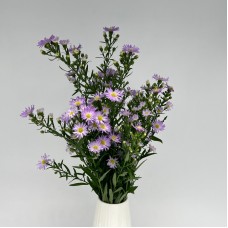 Peacock (Local) - Light Purple (Per Bunch) Peacock (Local) - Light Purple (Per Bunch)