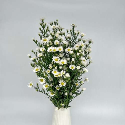 Peacock (Local) - White (Per Bunch)