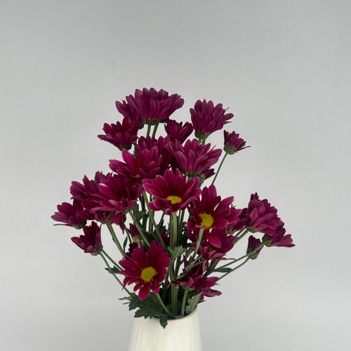 Chrysanthemum Pompom (Local) - Daisy Purple (12 Stems)