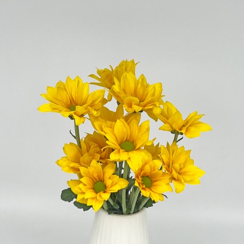 Chrysanthemum Pompom (Local) - Daisy Yellow (12 Stems)
