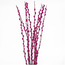 Dye Color Pussy Willow Single 银柳 6FT (Imported) - Hot Pink (10 Stems) Dye Color Pussy Willow Single 银柳 6FT (Imported) - Hot Pink (10 Stems)