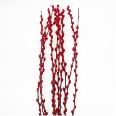 Dye Color Pussy Willow Single 银柳 6FT (Imported) - Red (10 Stems) Dye Color Pussy Willow Single 银柳 6FT (Imported) - Red (10 Stems)