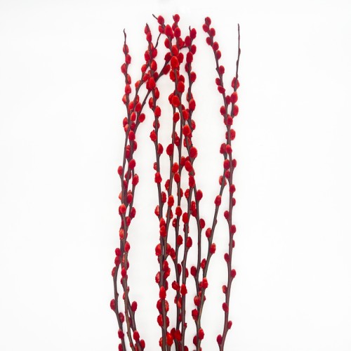 Dye Color Pussy Willow Single 银柳 6FT (Imported) - Red (10 Stems)