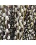 Dye Color Pussy Willow Single 银柳 6FT (Imported) - White (10 Stems)