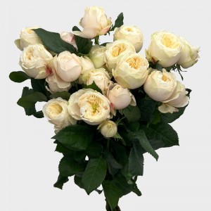 Rose Spray (Imported) - Darlington (10 Stems) Rose Spray (Imported) - Darlington (10 Stems)